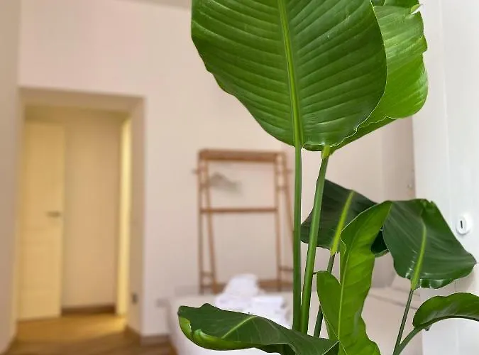 Guest house Boho - Colosseum Rome